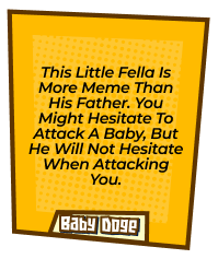This little fella is more meme than his father. You might hesitate to attack a baby, but he will not hesitate when attacking you.